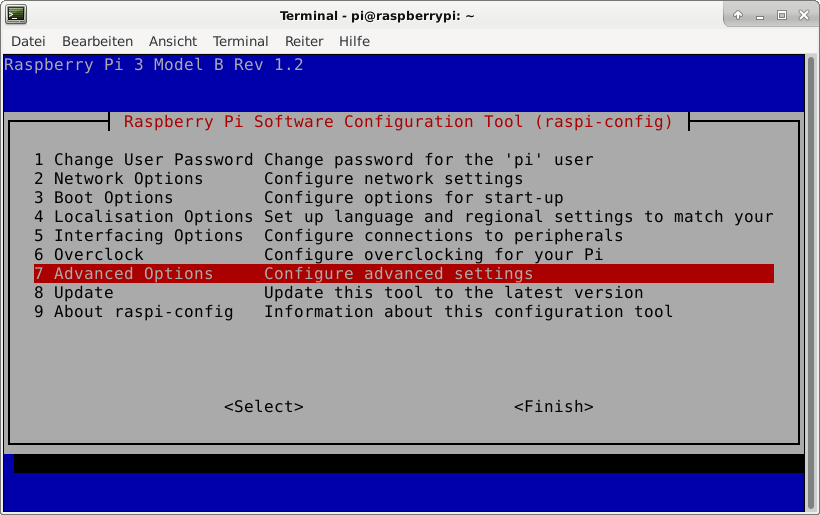 Expand the file system with raspi-config